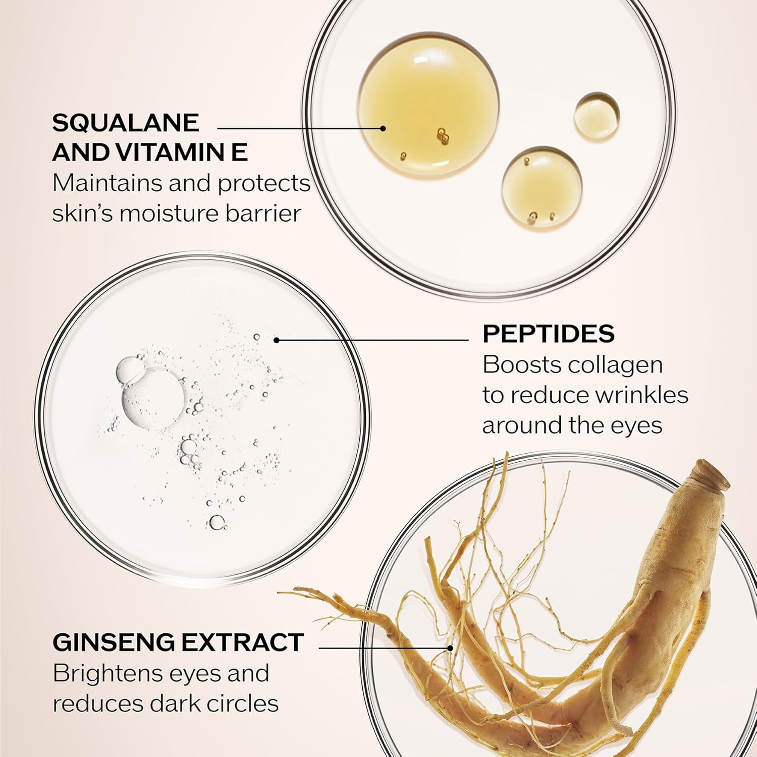 Shiseido Benefiance Wrinkle Smoothing Eye Cream – Anti-Aging & Hydrating Under Eye Treatment